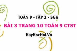 Bài 3 trang 10 Toán 9 tập 2 Chân trời sáng tạo